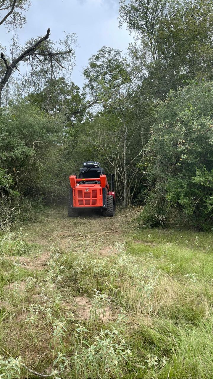 Underbrush & Cedar Mulching