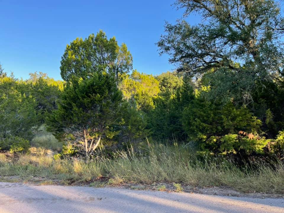 Legacy Oak & Tree Preservation