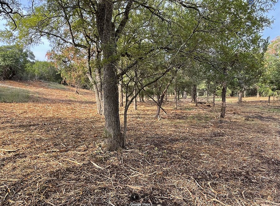 Forestry mulching in a single pass by HB Land Services