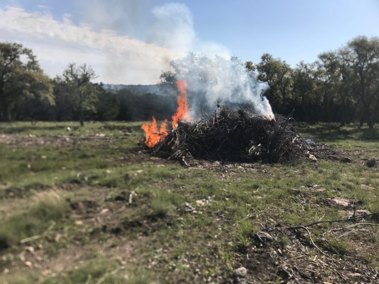Burn pile from amateur land clearing