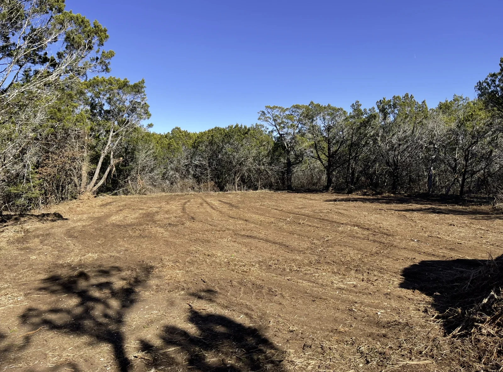 Clearing cut out of cedar and oak woods, the ground taken down to bare dirt with track marks running back to the tree line