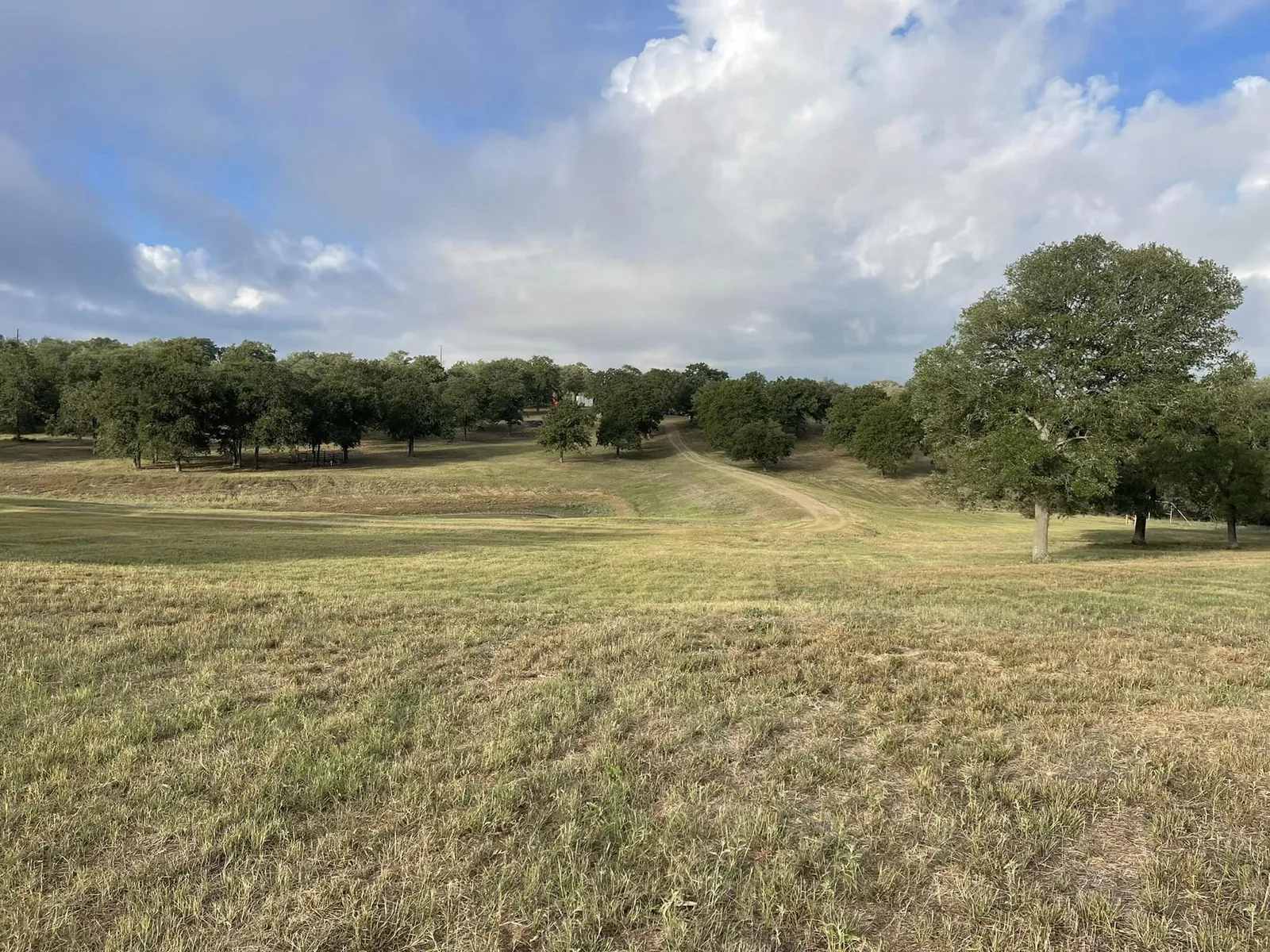 Wide open pasture shredded down to grass with a mowed track running up a rise toward a line of oaks